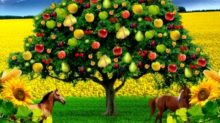 Yeşilhisar Belediyesi Dergi